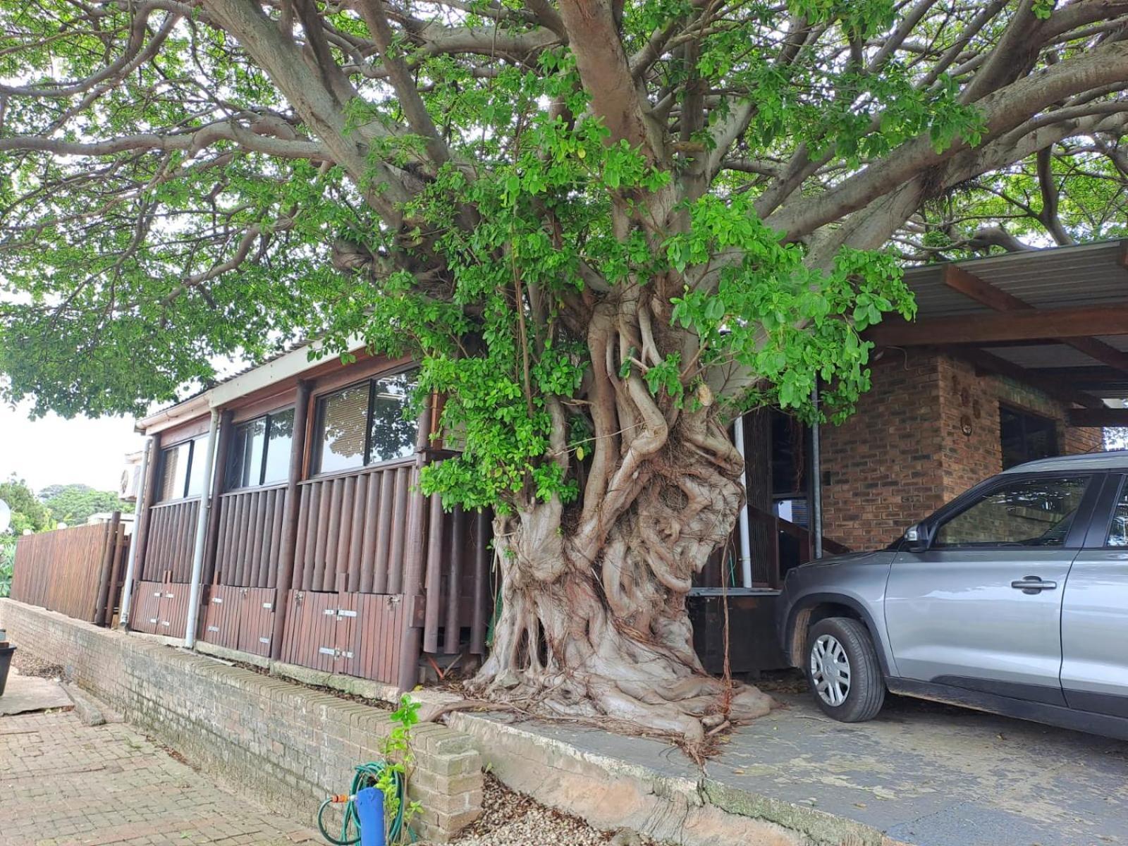 Seaviews Holiday Resort Jeffreys Bay Esterno foto